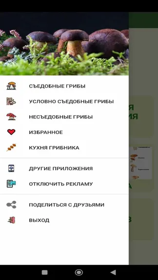 Скриншот 2/6