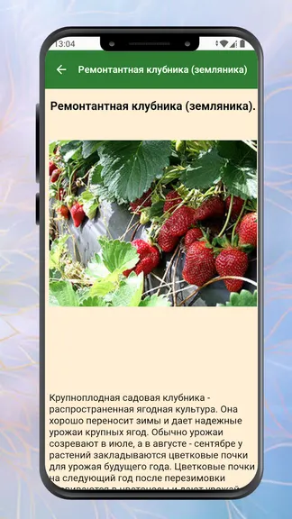 Скриншот 2/6