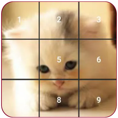 Cat puzzles 