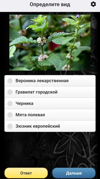 Скриншот 6/8