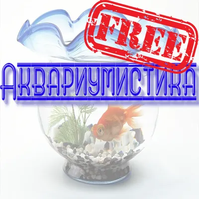 Аквариумистика рыбы free