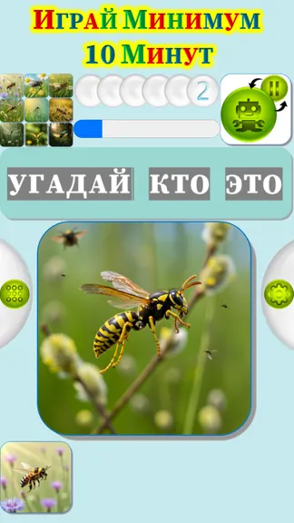 Скриншот 1/4