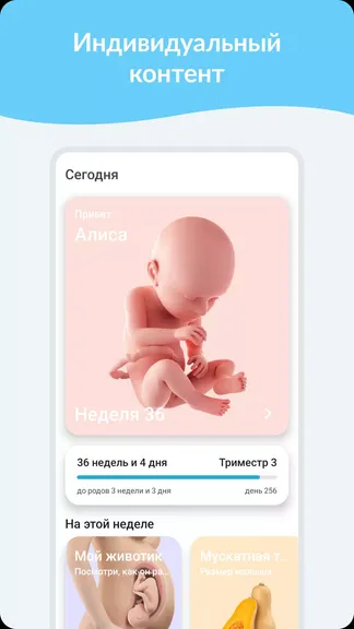 Скриншот 1/8