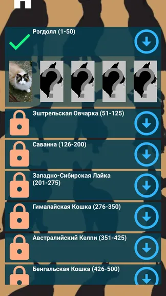 Скриншот 4/6