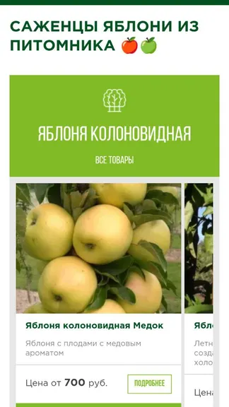 Скриншот 3/7