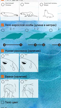 Скриншот 4/5