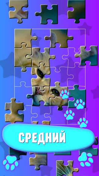 Скриншот 4/5