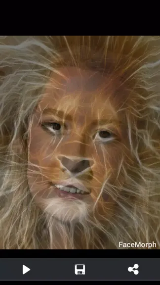 Скриншот 3/4