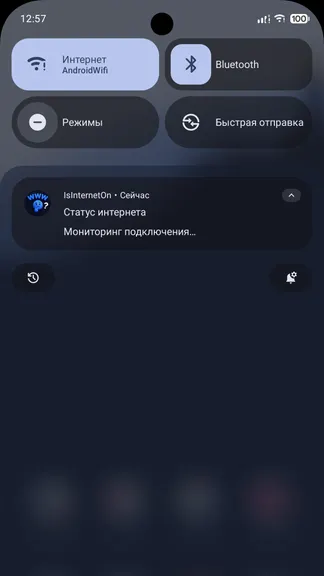 Скриншот 3/4