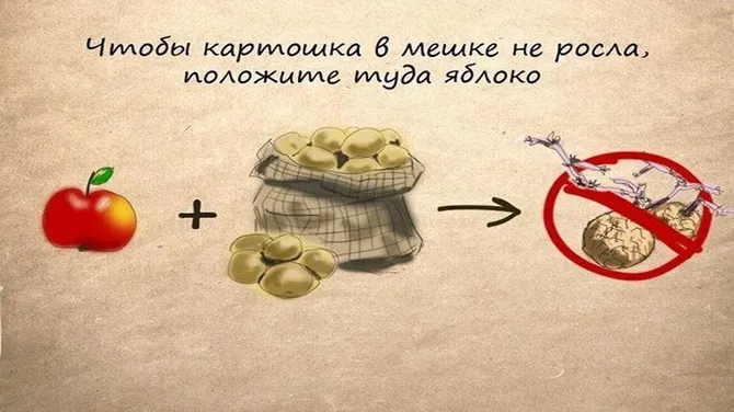 Скриншот 2/5