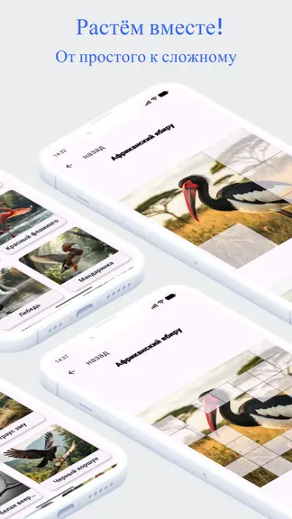 Скриншот 3/3