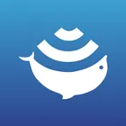 Deepbalance логотип