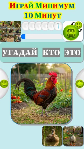 Скриншот 3/4