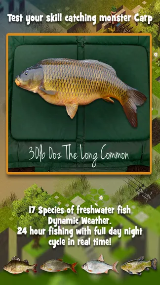 Скриншот 6/7