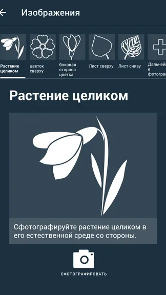 Скриншот 3/5