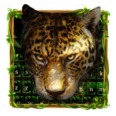 Leopard in Jungle Keyboard