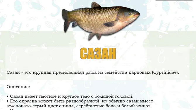 Скриншот 3/7