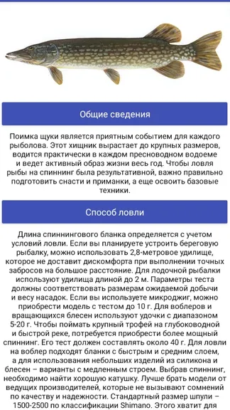 Скриншот 5/5