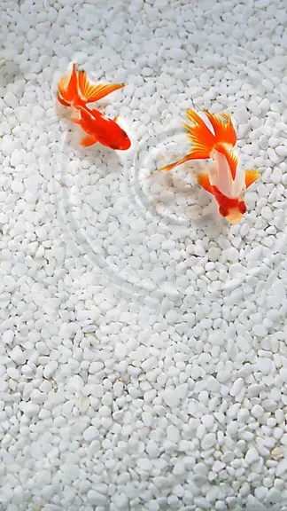 Скриншот 7/8