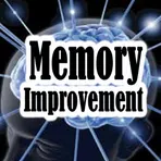 Memory Improvement логотип