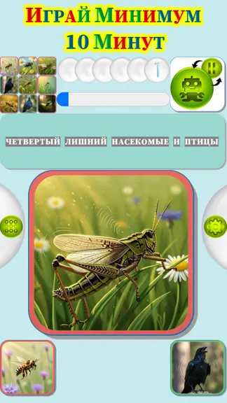 Скриншот 4/4