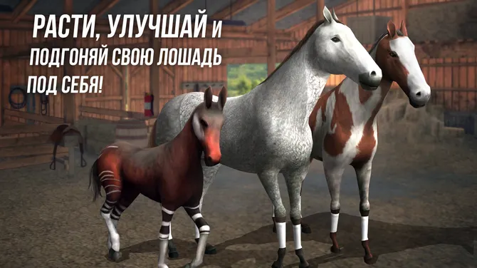 Скриншот 4/6