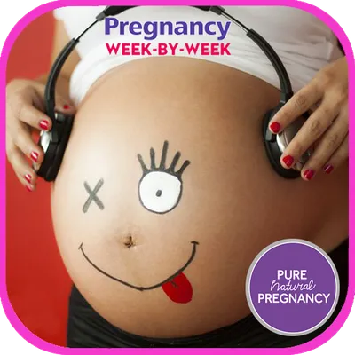 Pregnancy Week by Week