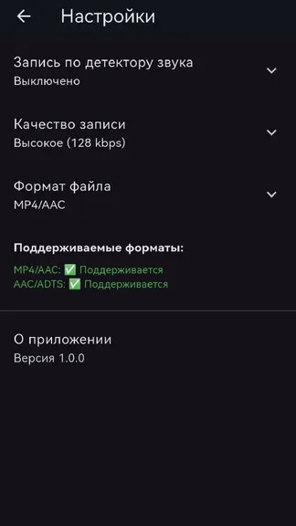 Скриншот 4/4