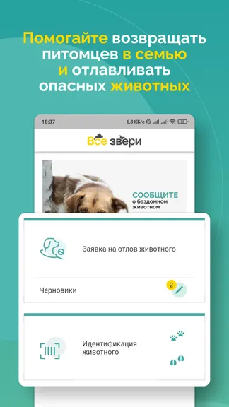 Скриншот 1/8