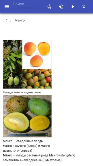 Скриншот 6/8