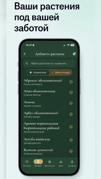 Скриншот 3/5