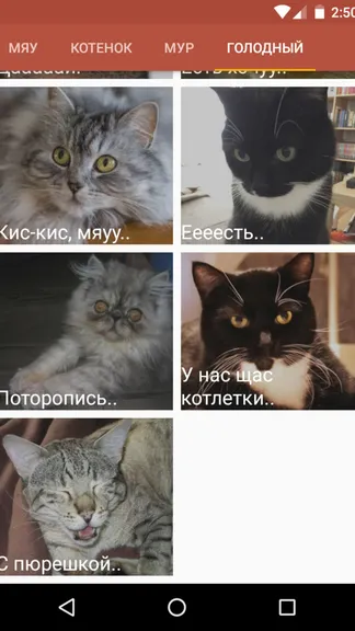 Скриншот 1/2