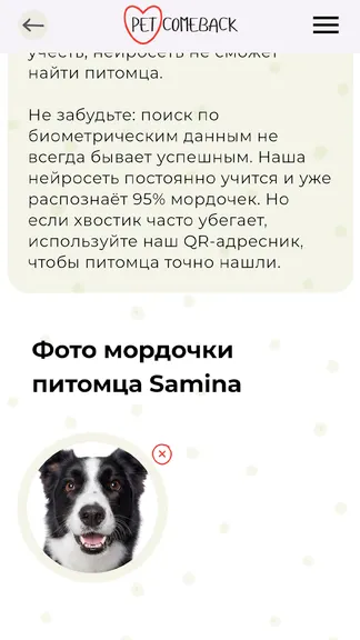 Скриншот 4/5