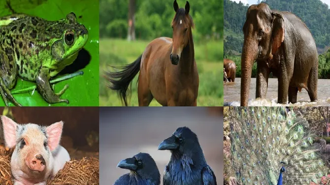 Скриншот 2/2