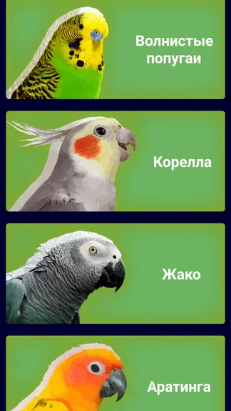 Скриншот 2/5