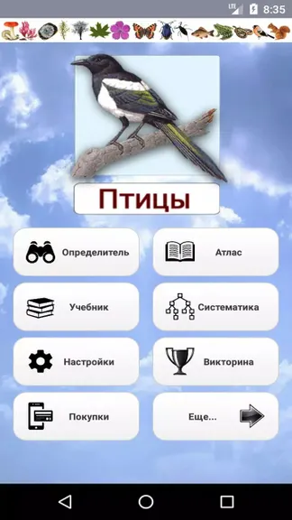 Скриншот 1/5