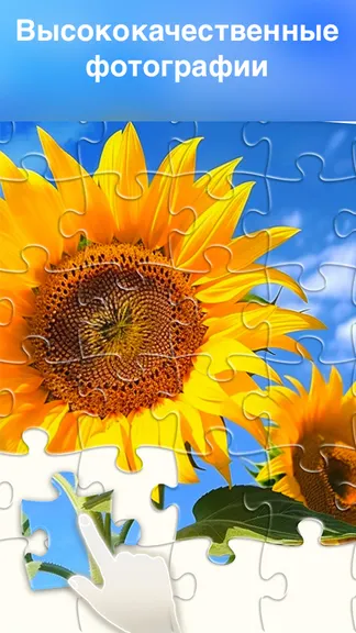 Скриншот 4/6