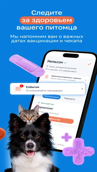 Скриншот 3/6