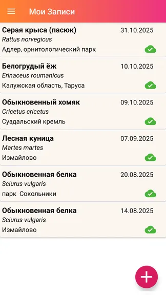 Скриншот 3/3