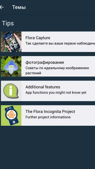 Скриншот 5/5
