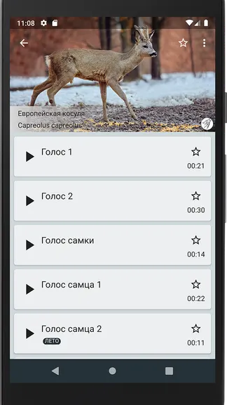 Скриншот 3/4