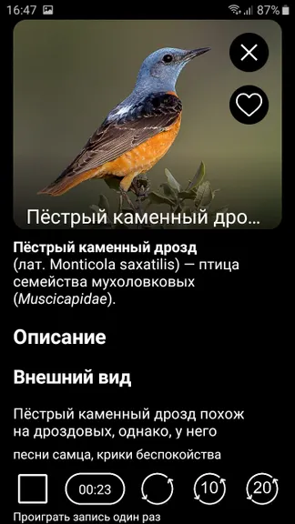 Скриншот 4/10
