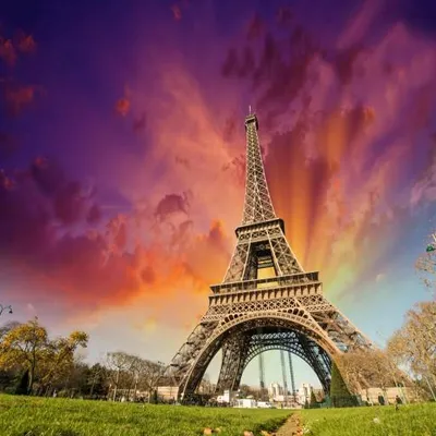 Eiffel Tower Live Wallpaper