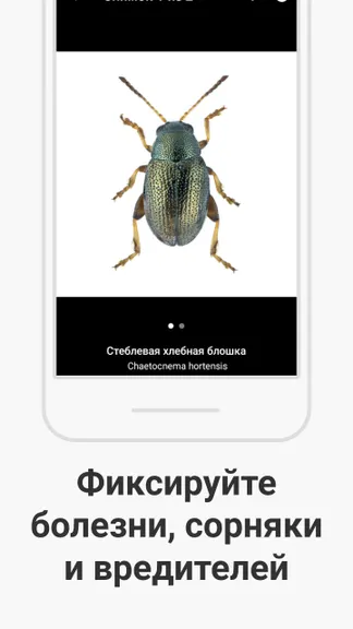 Скриншот 3/5