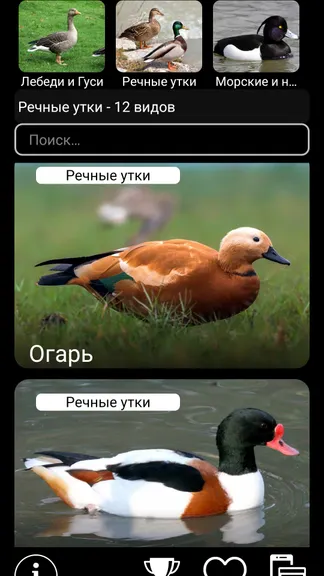Скриншот 2/8