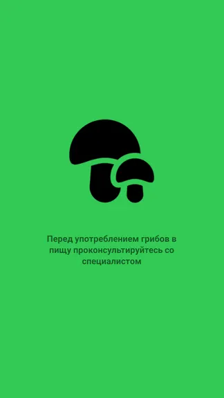 Скриншот 1/4