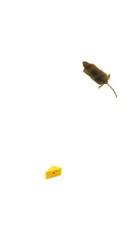 Скриншот 1/6