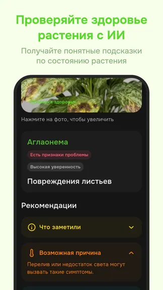 Скриншот 5/6