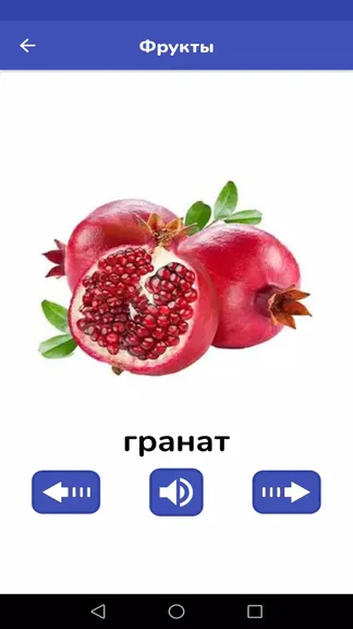Скриншот 5/5