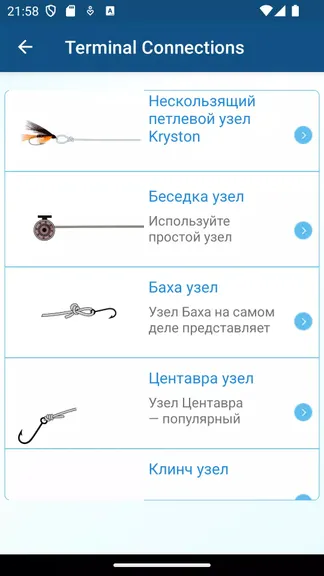 Скриншот 2/6